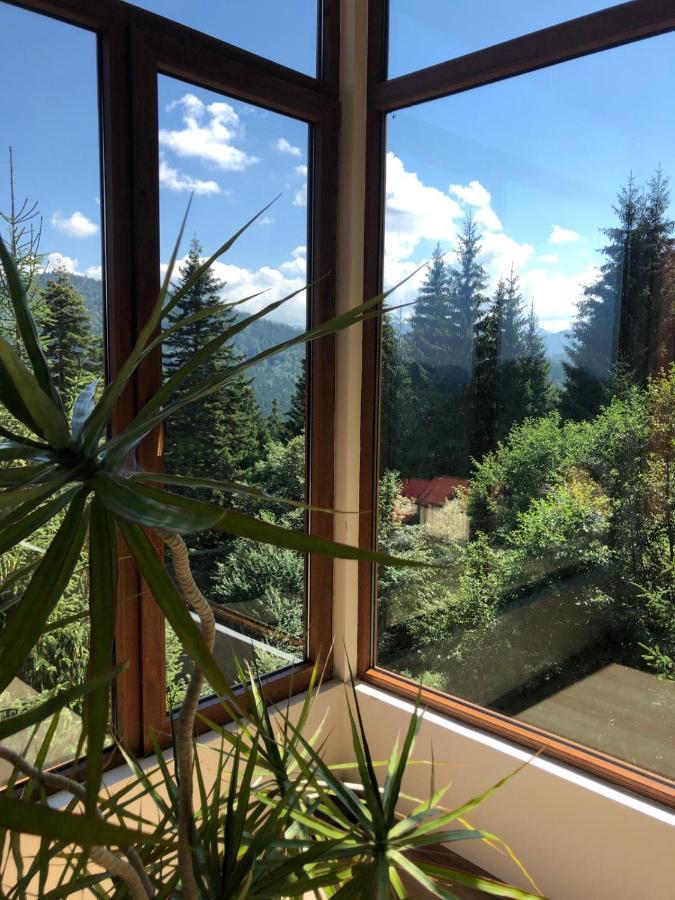 Genco Hotel Mountain View Predeal Exterior photo